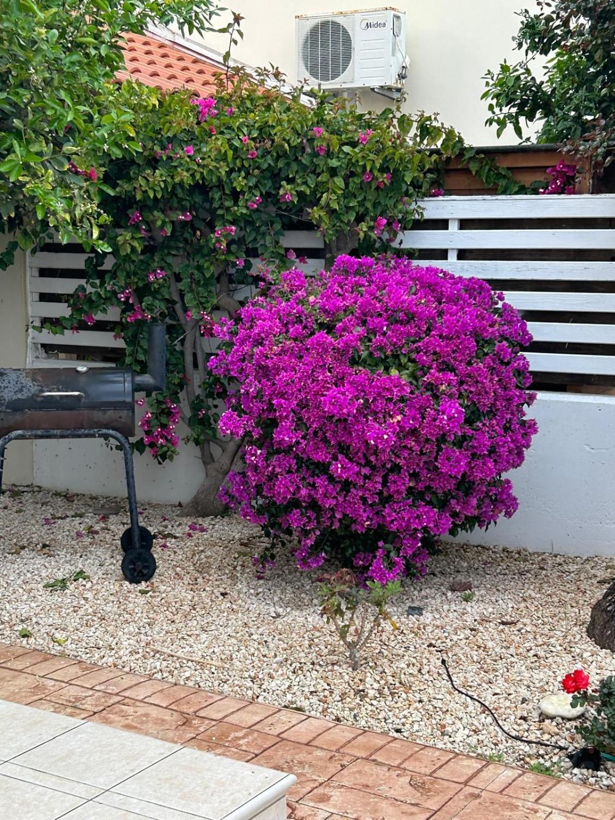 Budget Escape To The Seaside Larnaca Luaran gambar